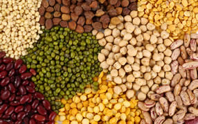 pulses and grains