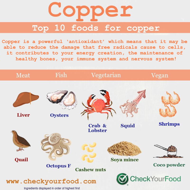 Top 10 Foods For Copper