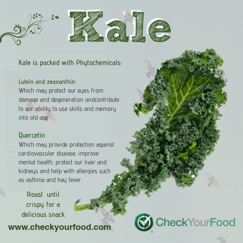 The health benefits of kale