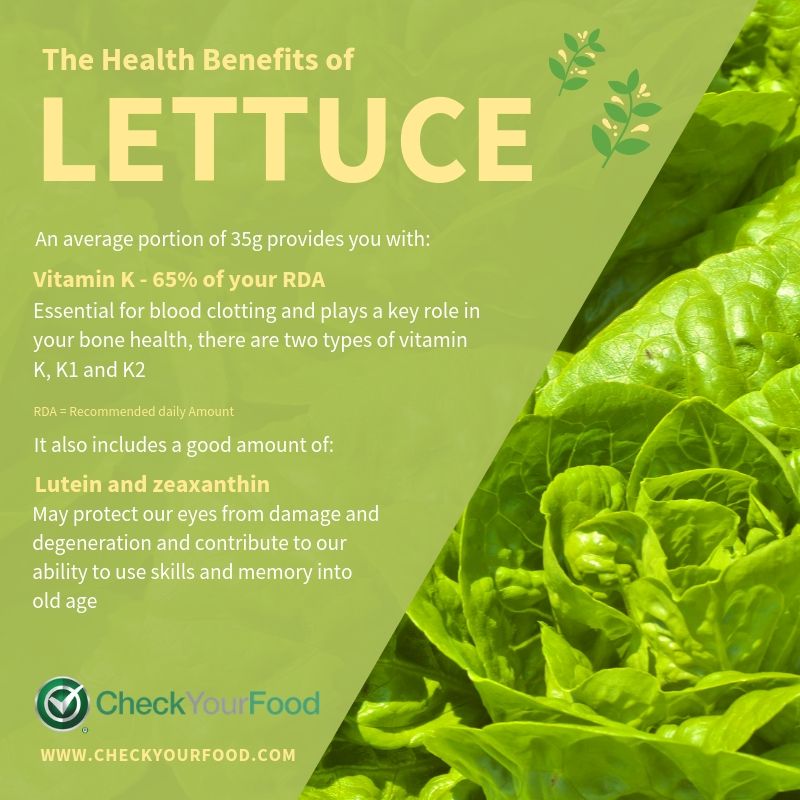 The Health Benefits of Lettuce