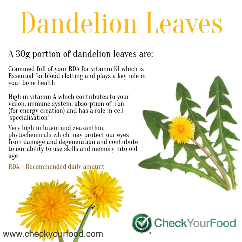 The health benefits of dandelion leaves