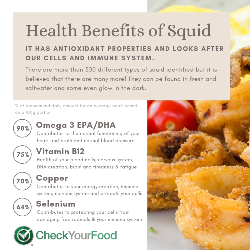 The health benefits of squid 