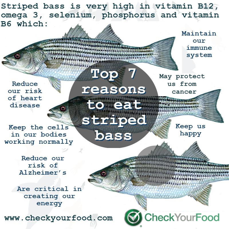 Top 7 reasons to eat striped bass