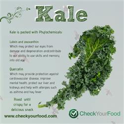 The health benefits of kale blog