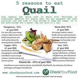 The health benefits of quail blog