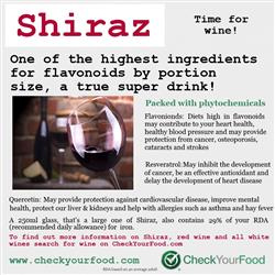 The health benefits of Shiraz wine blog