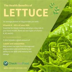 The Health Benefits of Lettuce blog