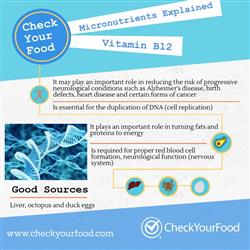 The health benefits of vitamin B12 nutritional information