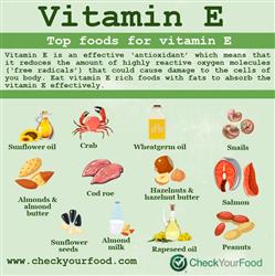 The Top Foods for Vitamin E blog