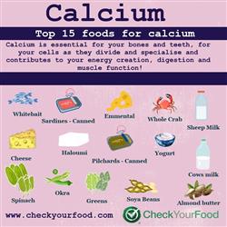 The Top 15 Foods for Calcium nutritional information