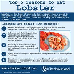 The health benefits of eating lobster blog