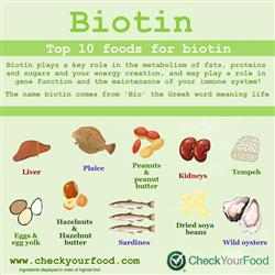 The top 10 foods for biotin blog