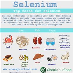 The top ten foods Selenium blog