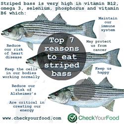 Top 7 reasons to eat striped bass blog