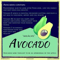 Health benefits of avocados blog
