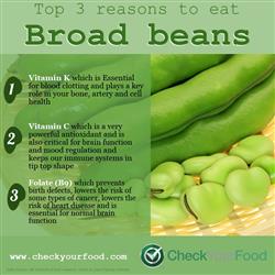The health benefits of Broad beans (Fava beans)  blog