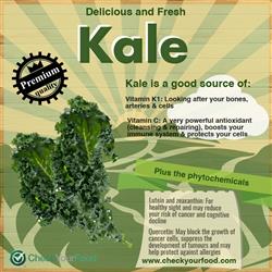 Kale fresh and delicious blog