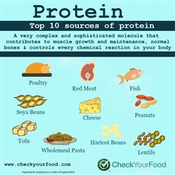 The Top 10 Foods for Protein blog