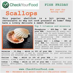 The health benefits of scallops blog