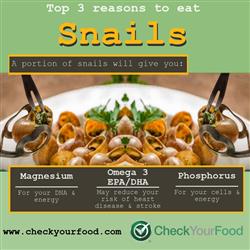 The health benefits of  snails blog