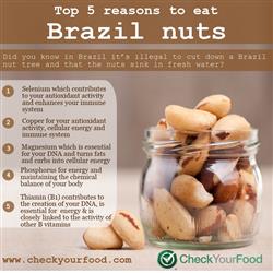 Health benefits of brazil nuts blog