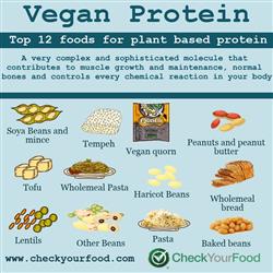 Top 12 Foods for Vegan Protein nutritional information