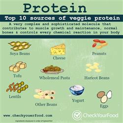 Top 10 Ingredients for Veggie Protein blog