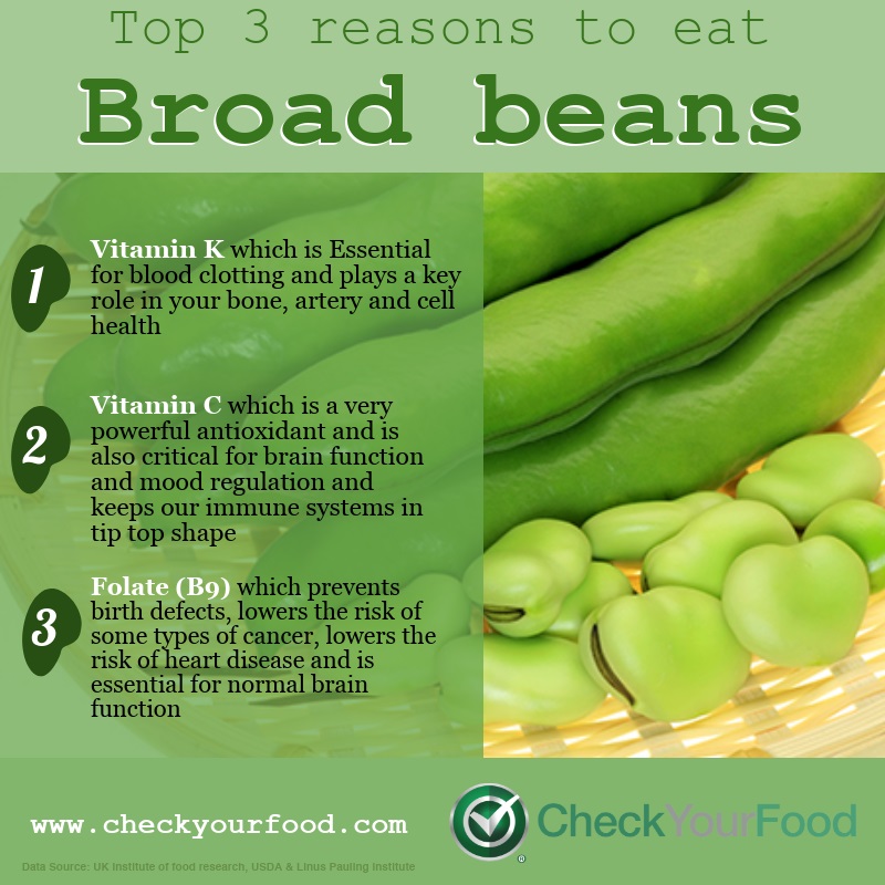 The health benefits of Broad beans (Fava beans) 