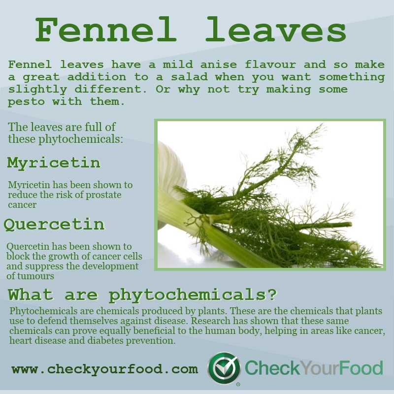 The health benefits of fennel leaves