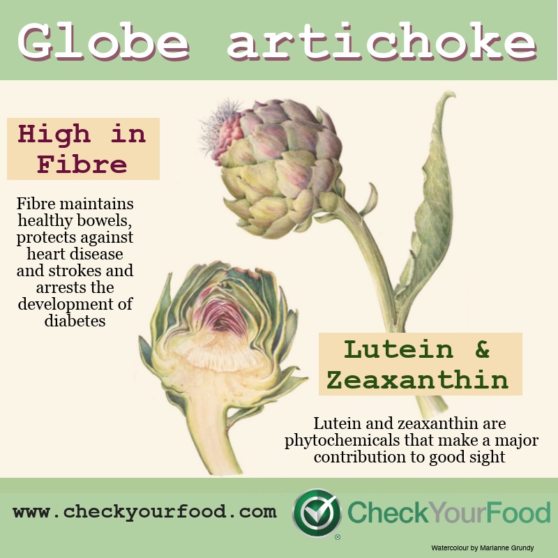 The heath benefits of globe artichokes