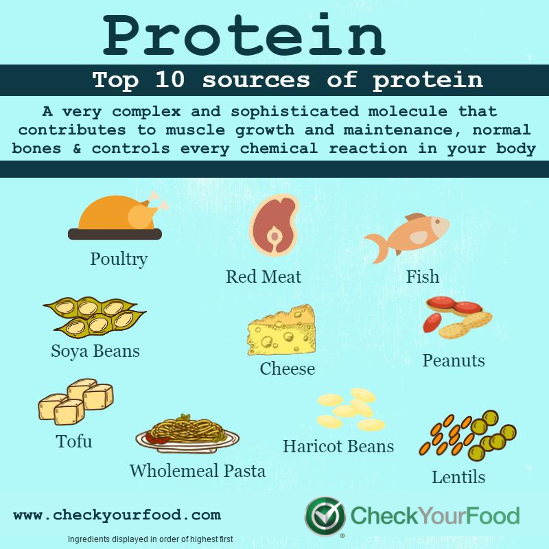 The Top 10 Foods for Protein