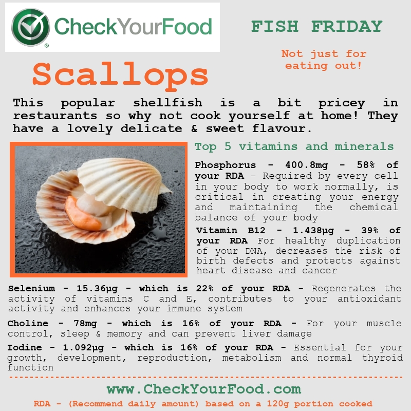 The health benefits of scallops