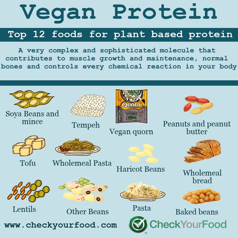 Top 12 Foods for Vegan Protein