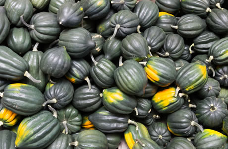 Acorn squash nutritional information