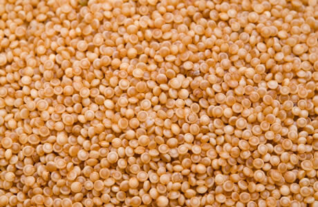 Amaranth grain nutritional information