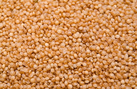 Amaranth grain nutritional information