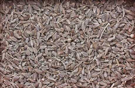 Anise seed nutritional information