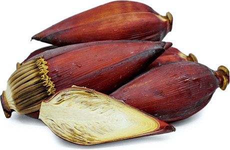 Banana Flower - blossom and bud nutritional information