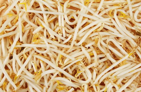 Beansprouts - tinned nutritional information