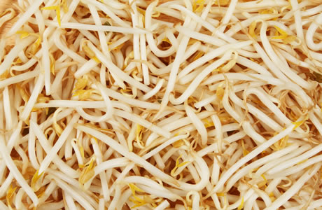 Beansprouts - tinned nutritional information