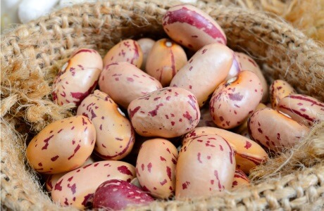 Borlotti beans - cranberry - dried nutritional information