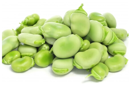 Broad beans - fava nutritional information