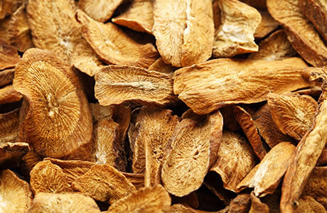 Burdock root nutritional information