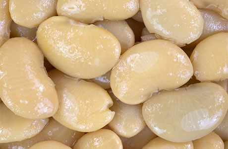 Butter beans  - lima - tinned nutritional information