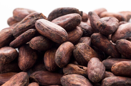Cacao beans/nibs nutritional information