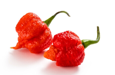 Carolina Reaper chilli nutritional information