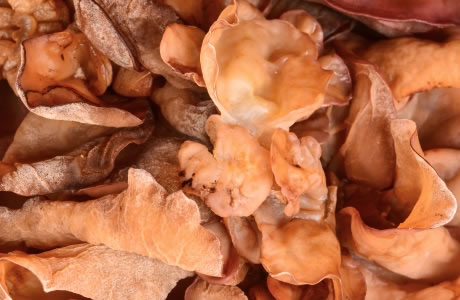 Cloud ear mushrooms - dried nutritional information