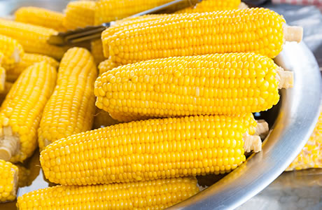 Corn on the cob nutritional information