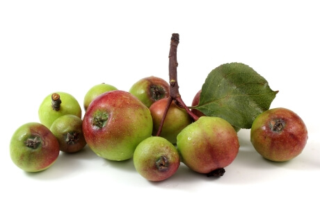 Crab apples nutritional information