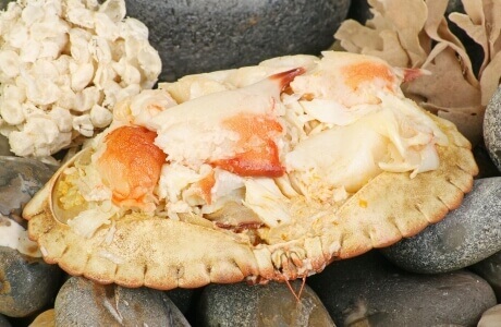 Crab brown & white meat nutritional information